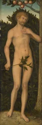 Adam